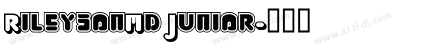 RileysonMd Junior字体转换